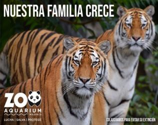 OS QUEREMOS RECORDAR TAMBIEN Las Jornadas familiares en el Zoo Aquarium de Madrid