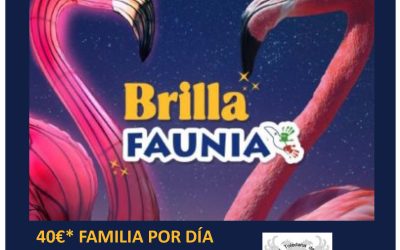 Nuevas jornadas familiares en FAUNIA con el espectáculo de luces «Brilla Faunia»