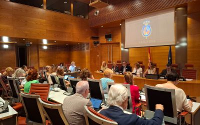 Comparecemos en el Senado para reclamar más inversión en familia y ayudas directas y reales que tengan en cuenta a todos los hijos